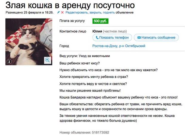 Аренда злой кошки. Аренда злой кошки.