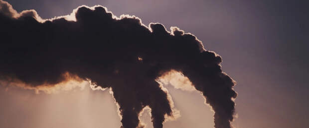 ИИ отобрал из 1500 климатических мер самые эффективные