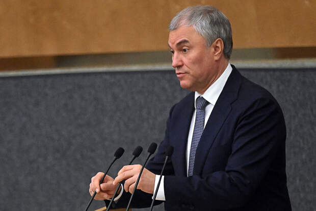 Володин связал с боязнью правды отказ в выдаче виз делегации РФ на сессии ОБСЕ