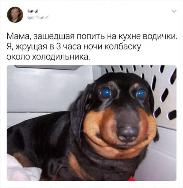 www.vsyako.net