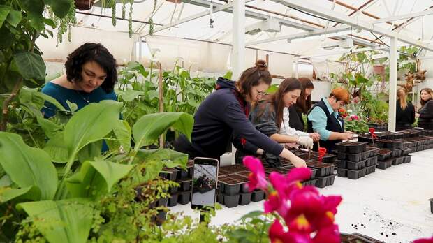 Депутаты Тульской областной Думы приняли участие в акции "Цветы для Ясной Поляны"