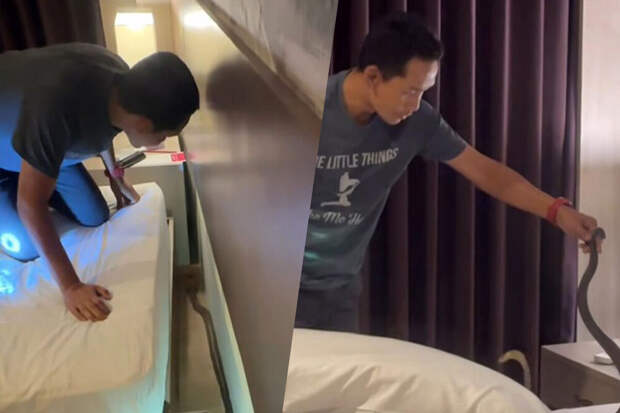 В Таиланде туристы обнаружили в кровати своего номера кобру