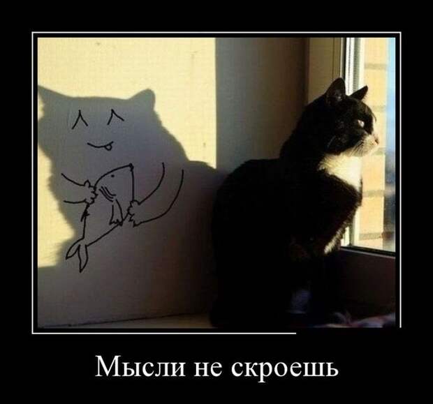 Сборник демотивационных приколов Сборник демотивационных приколов