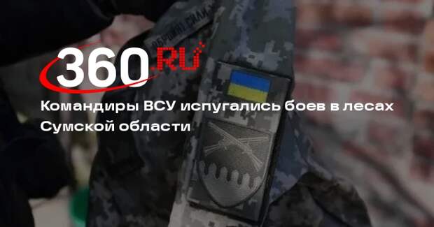 Командиры ВСУ испугались боев в лесах Сумской области