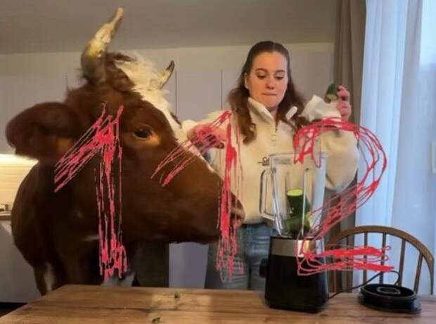 Жительница Подмосковья завела блог про жизнь с коровой под одной крышей