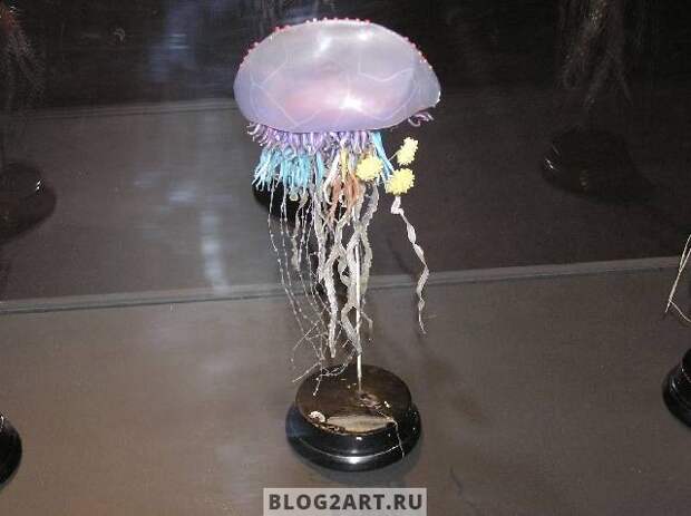 JellyFish004