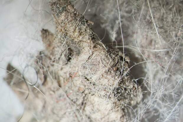 домашняя пыль под микроскопом