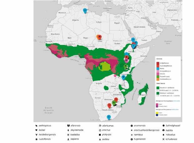 Карта климатических изменений, основных антропологических находок и ареалов распространения популяций шимпанзе / ©Virus Evolution
