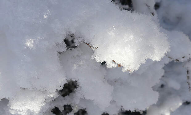 Источник фото: Unsplash