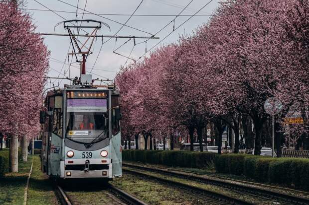 В Краснодарском крае разработали экскурсию «Этномозаика Кубани»