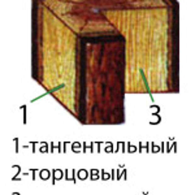 Разрезы древесины. Тангентальный срез сосны. Строение древесины продольный и поперечный срез ствола. Строение древесины главные разрезы ствола. Продольный тангентальный срез.
