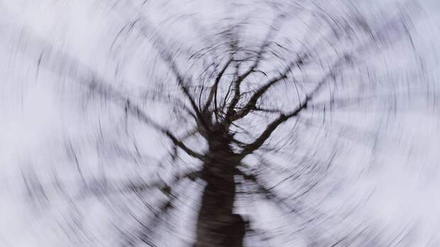 «Все вместе лежат»: эксперт Раилко предположил, что могло произойти с Усольцевыми