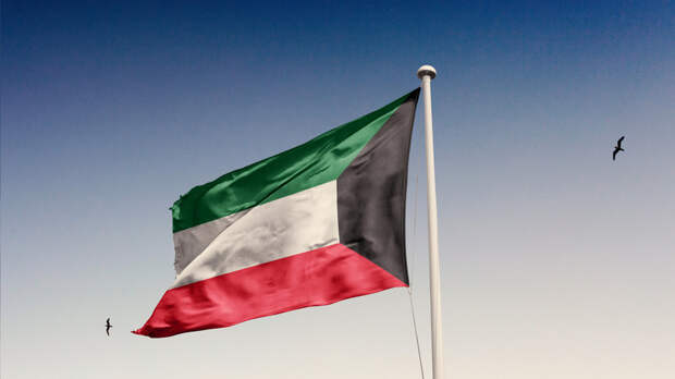Эмир Кувейта распустил парламент и приостановил ряд положений Конституции