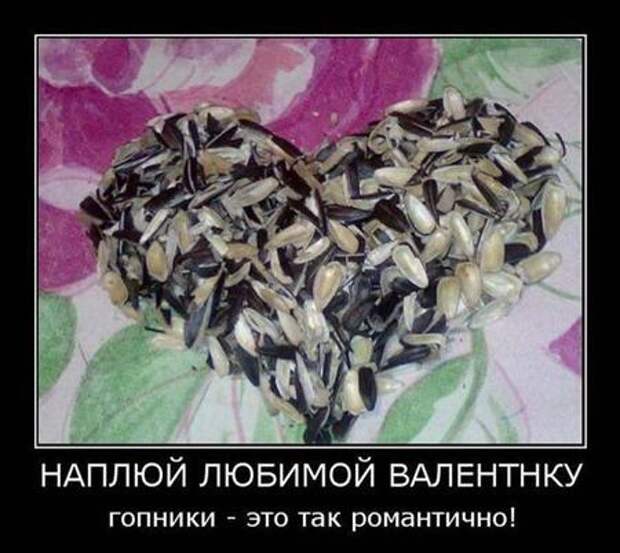 Скачать демотиваторы на сотку