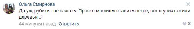 У станции метро «Удельная» вырубили деревья