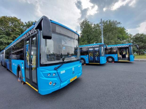 Автобус Ховрино-Химки летом стал самым популярным среди подмосковных маршрутов