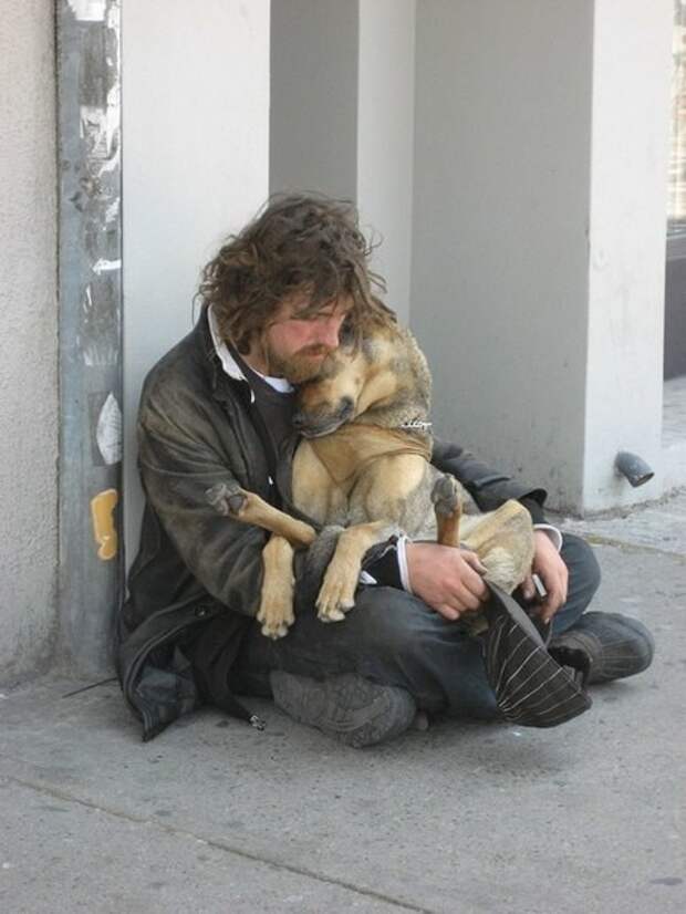 Сильные фото бездомных и их собак друзья, собака - друг человека, хозяин