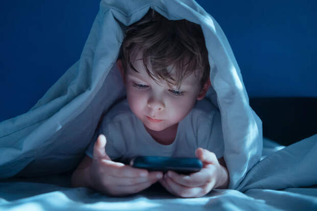 Омбудсмен Севергина: регистрация в соцсетях должна быть доступна с 14 лет