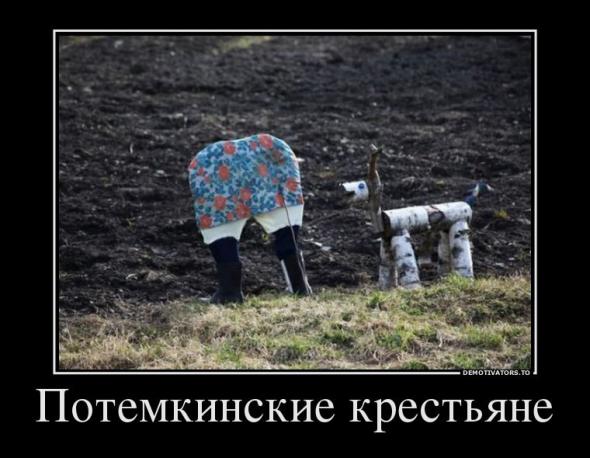 Немного новых демотиваторов