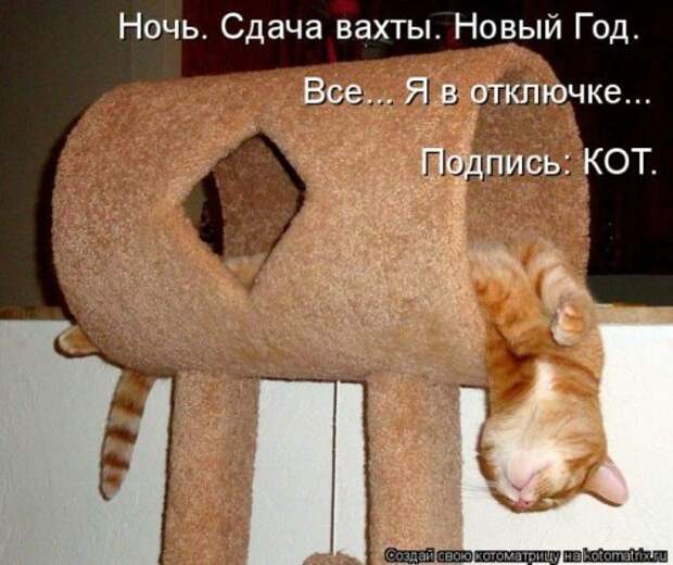 Лучшие котоматрицы недели, 25 фото
