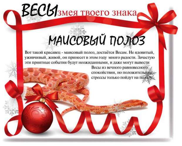 Какой змеей будешь ты в 2013 году (13 фото) Какой змеей будешь ты в 2013 году (13 фото)