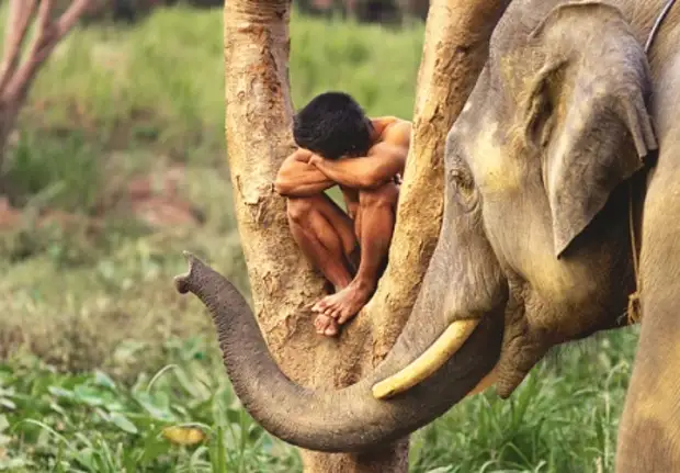 Эволюция мозга