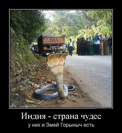 Новые демотиваторы (18 шт)