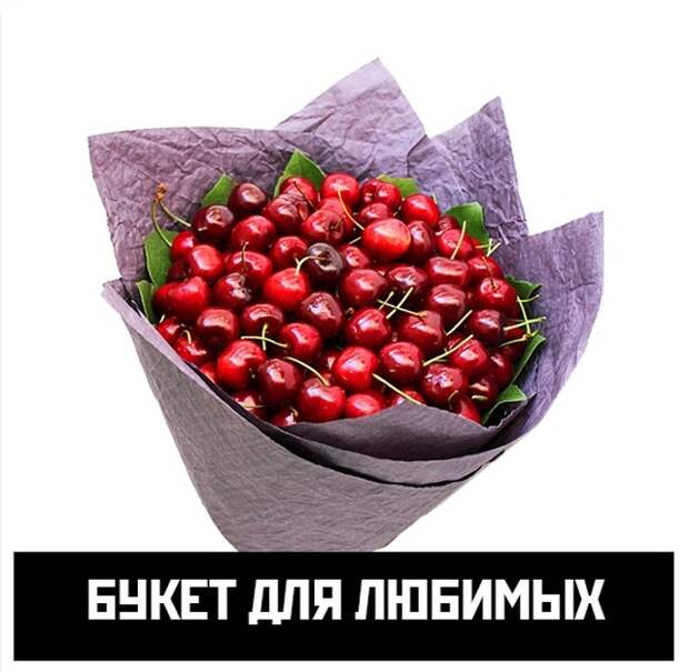 www.vsyako.net