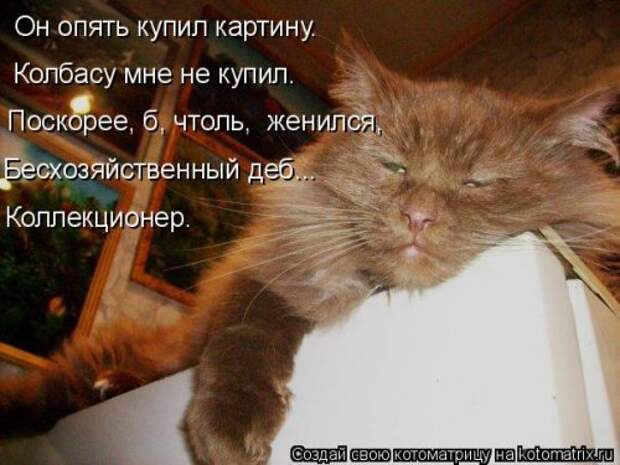 Лучшая котоматрица на Бугаге (29 шт)