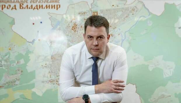 Сотрудники ФСБ задержали мэра Владимира