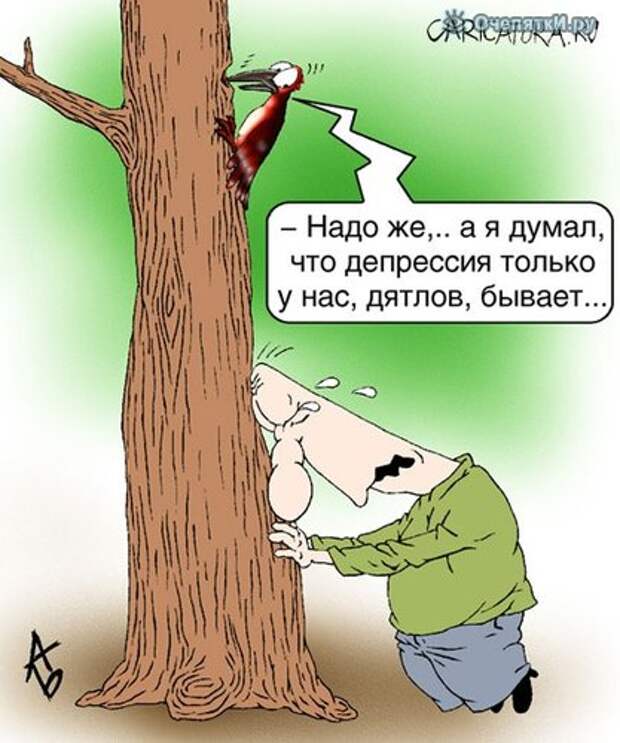 Карикатуры из сети 26