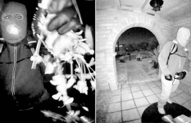 Исчезновение Нэнси Гатри: видео, выкуп и 30 тысяч зацепок