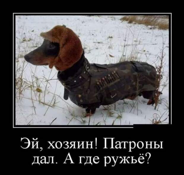 Прикольные демотиваторы с надписями. Подборка chert-poberi-dem-chert-poberi-dem-36041212082020-14 картинка chert-poberi-dem-36041212082020-14