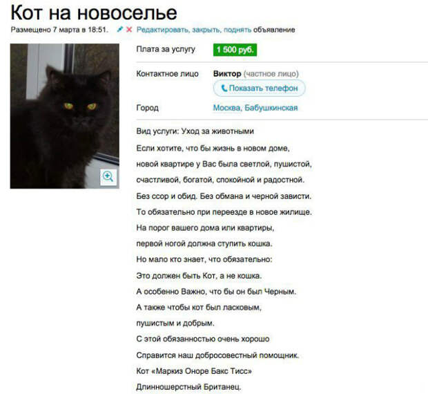 Гость на новоселье. Гость на новоселье.