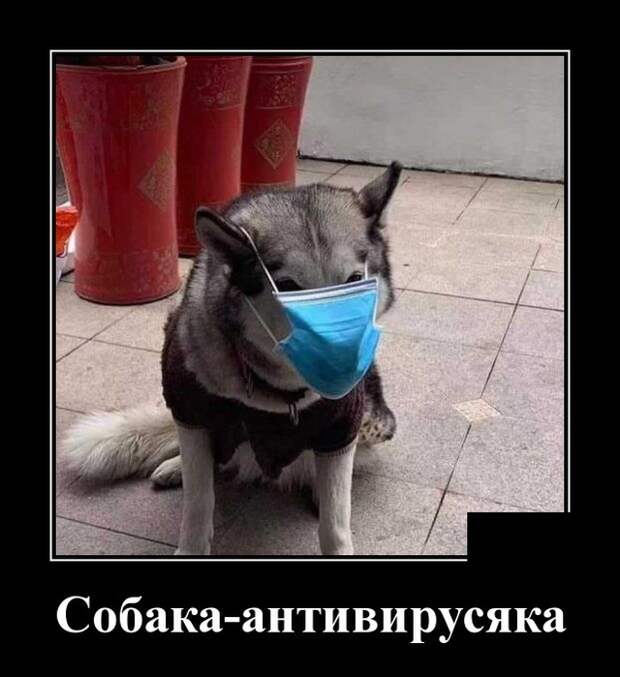 www.vsyako.net