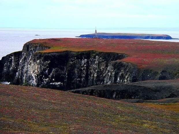 Новая Земля: как выжить в русской Арктике (42 фото)