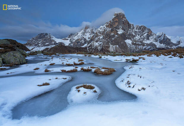 National Geographic: лучший фотограф природы 2016