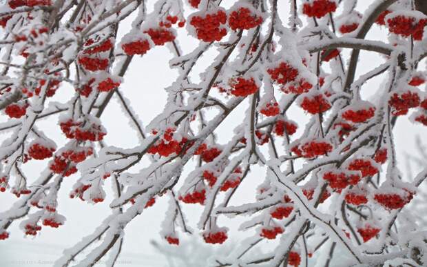 image-m2id2822.jpg image-m2id2822.jpg