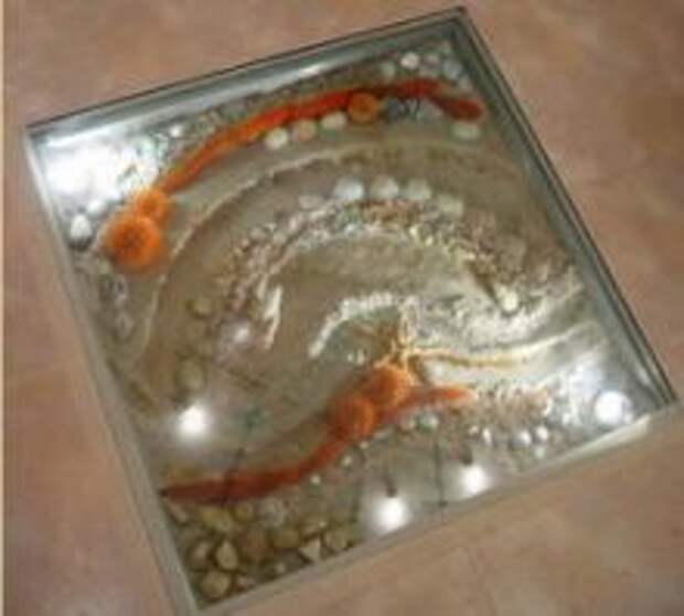 Сухой аквариум в полу с морской композицией