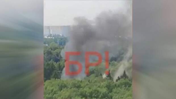 Пожар произошел на подмосковной даче режиссера Всеволода Мейерхольда