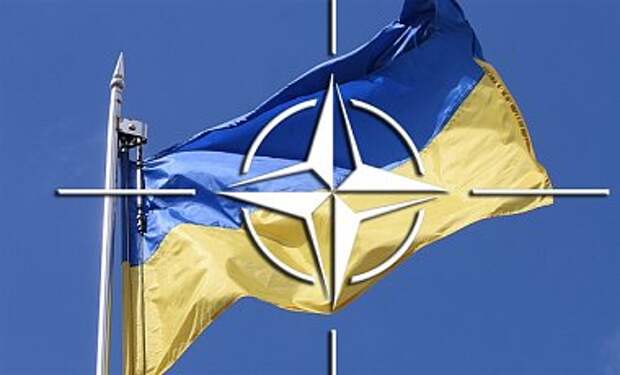 Кабмин одобрил программу сотрудничества с НАТО