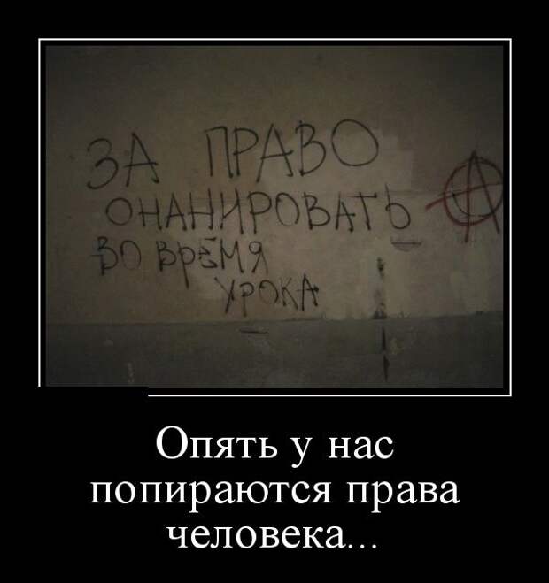 Демотиваторы (30 фото)