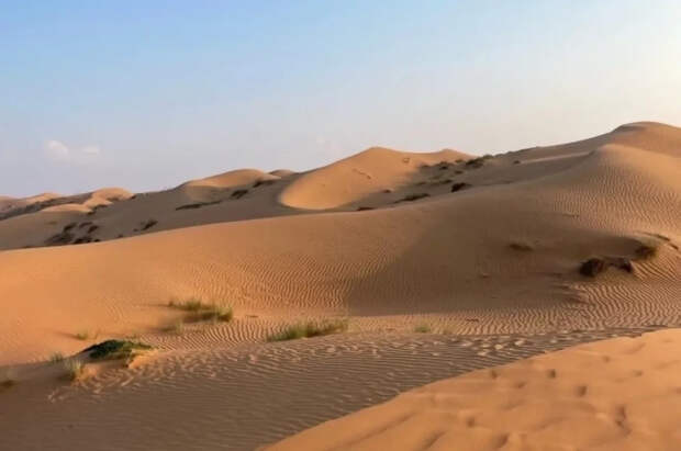 Мурадян перечислил страны, туризм в которых выиграл от закрытия ОАЭ