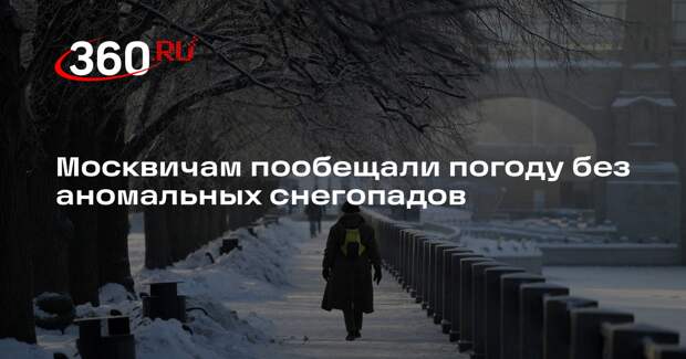 Синоптик Позднякова: в Москве до 19 января существенных осадков не ожидается
