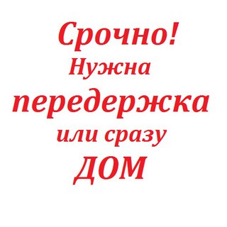 Приютите ангелочков! Хотя бы временно! Этим вы сохраните их жизни!!!