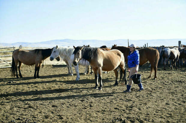 Митин предложил масштабировать опыт создания агрегаторов