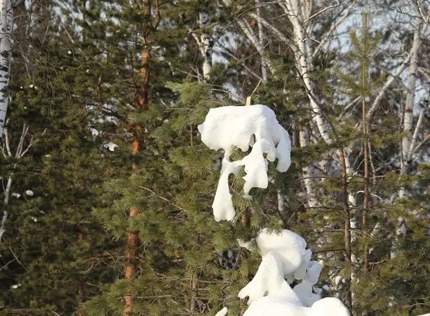 Погода в Ростове-на-Дону на 9 марта 2022 года: с утра в городе будет пасмурно и сыро