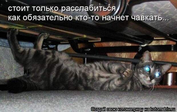 Милая котоматрица