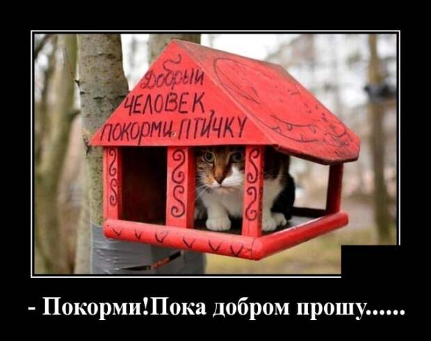www.vsyako.net