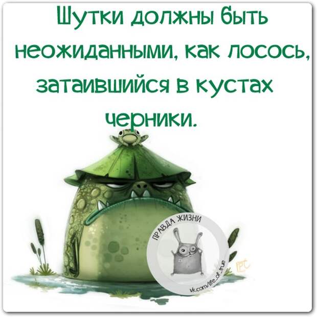 шутки про отношения. настоящий мужчина не должен. шутка должна быть неожиданной как. афоризмы про корону на голове. шутки про отношения мужчины и женщины.